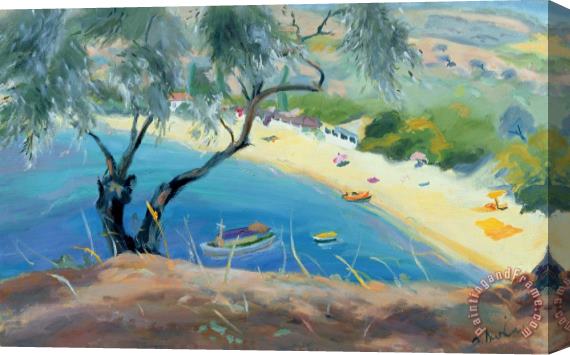 Anne Durham Achladies Bay - Skiathos - Greece Stretched Canvas Painting / Canvas Art