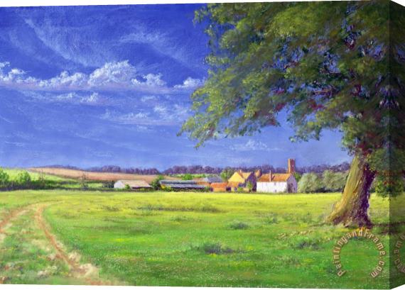 Anthony Rule Home Field Stretched Canvas Painting / Canvas Art