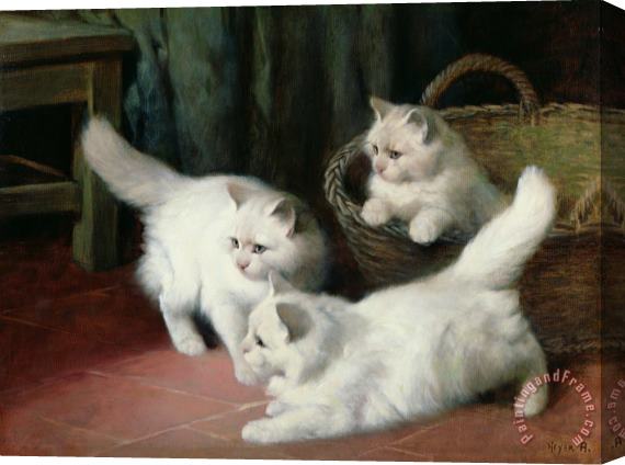Arthur Heyer Three White Angora Kittens Stretched Canvas Painting / Canvas Art