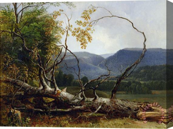 Asher Brown Durand Study from Nature - Stratton Notch Stretched Canvas Print / Canvas Art