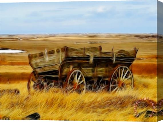 Blair Wainman Etched in Time Stretched Canvas Print / Canvas Art
