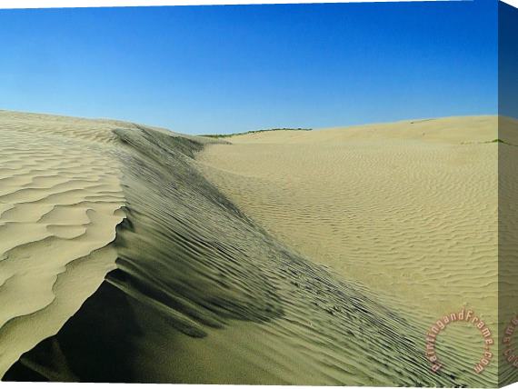Blair Wainman Shifting Sands Stretched Canvas Print / Canvas Art