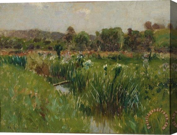 Bruce Crane Landscape with Wild Irises Stretched Canvas Painting / Canvas Art