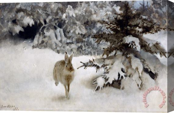 Bruno Andreas Liljefors A Hare In The Snow Stretched Canvas Print / Canvas Art