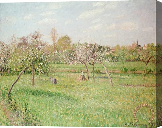 Camille Pissarro Apple Trees at Gragny Stretched Canvas Painting / Canvas Art