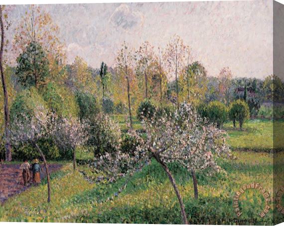 Camille Pissarro Apple Trees In Blossom Stretched Canvas Painting / Canvas Art