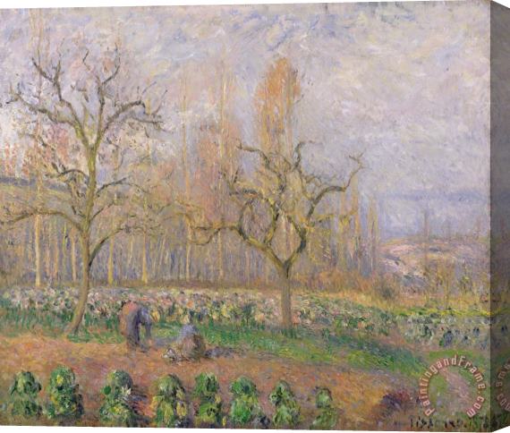 Camille Pissarro Orchard At Pontoise Stretched Canvas Painting / Canvas Art
