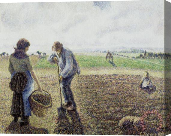 Camille Pissarro Peasants in The Fields, Eragny Stretched Canvas Print / Canvas Art