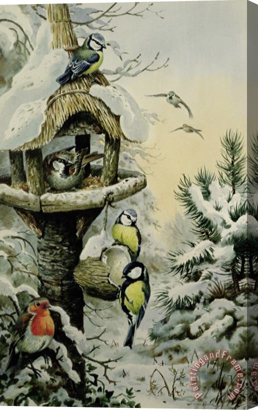Carl Donner Winter Bird Table with Blue Tits Stretched Canvas Print / Canvas Art