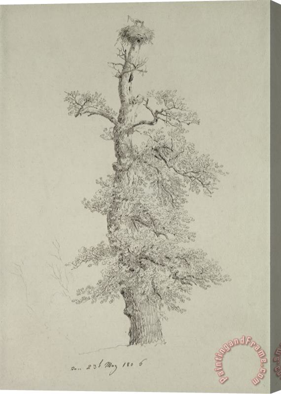 Caspar David Friedrich Ancient Oak Tree With A Storks Nest Stretched Canvas Painting / Canvas Art