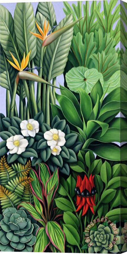 Catherine Abel Foliage II Stretched Canvas Print / Canvas Art