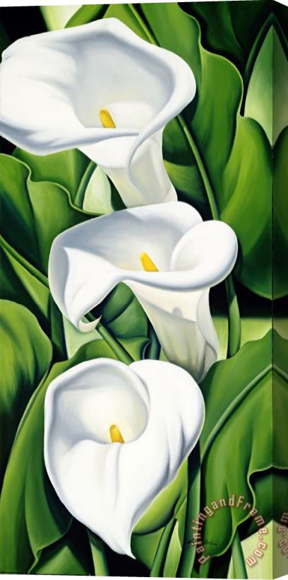 Catherine Abel Lilies Stretched Canvas Print / Canvas Art