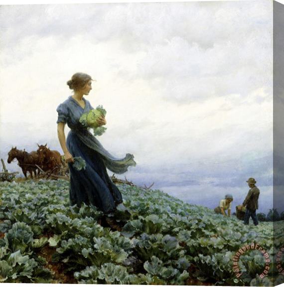 Charles Courtney Curran The Cabbage Field Stretched Canvas Print / Canvas Art