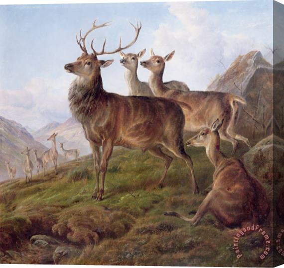 Charles Jones Red Deer in a Highland Landscape Stretched Canvas Print / Canvas Art