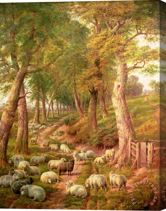 Charles Joseph Landscape with Sheep Stretched Canvas Painting / Canvas Art