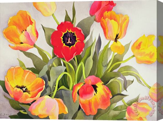 Christopher Ryland Orange And Red Tulips Stretched Canvas Painting / Canvas Art
