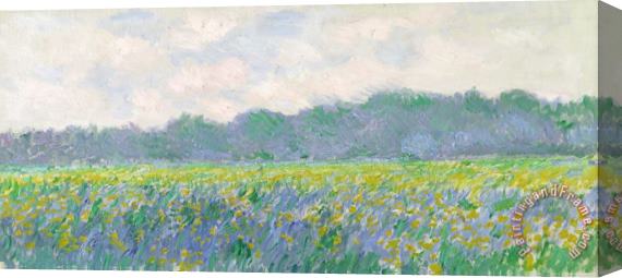 Claude Monet Field of Yellow Irises at Giverny Stretched Canvas Painting / Canvas Art