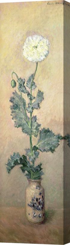 Claude Monet White Poppy Stretched Canvas Print / Canvas Art