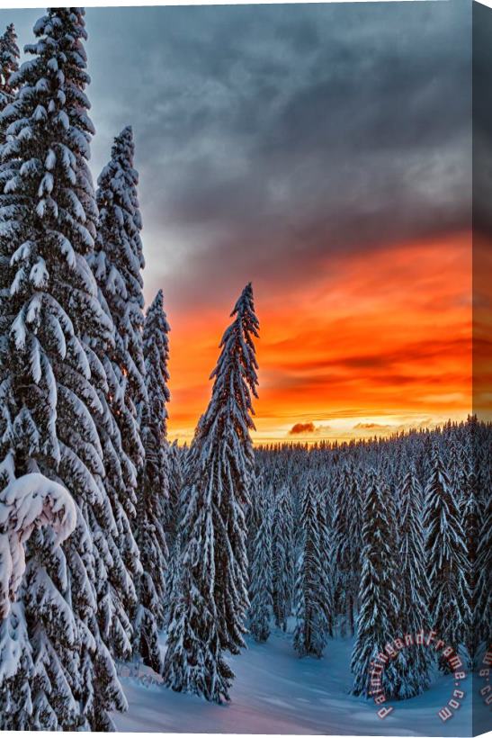 Collection 12 Snow and Sunrise Stretched Canvas Print / Canvas Art