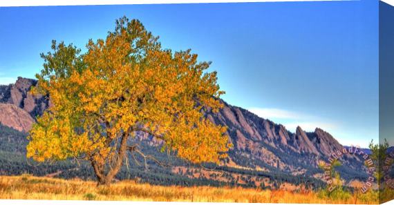 Collection 14 Fall in the Flatirons Stretched Canvas Print / Canvas Art