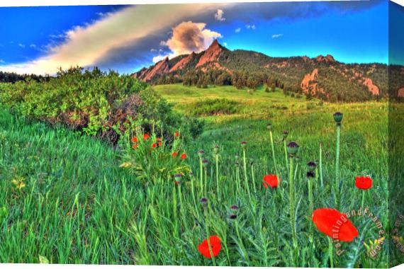 Collection 14 Flatirons and Poppies Stretched Canvas Print / Canvas Art