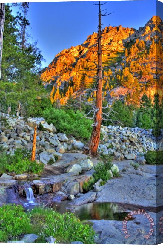 Collection 14 Sierra Cascade Stretched Canvas Print / Canvas Art