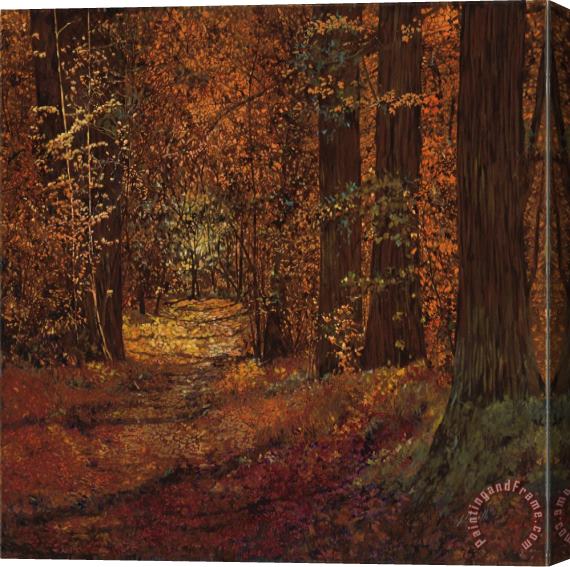 Collection 7 Autunno Nei Boschi Stretched Canvas Print / Canvas Art