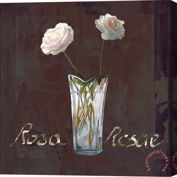 Collection 7 Rosa Rosae Stretched Canvas Print / Canvas Art
