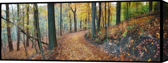 Collection 8 Autumn view Stretched Canvas Painting / Canvas Art