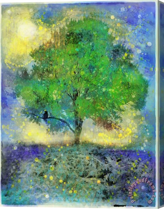 Collection 8 Firefly summer nights Stretched Canvas Print / Canvas Art