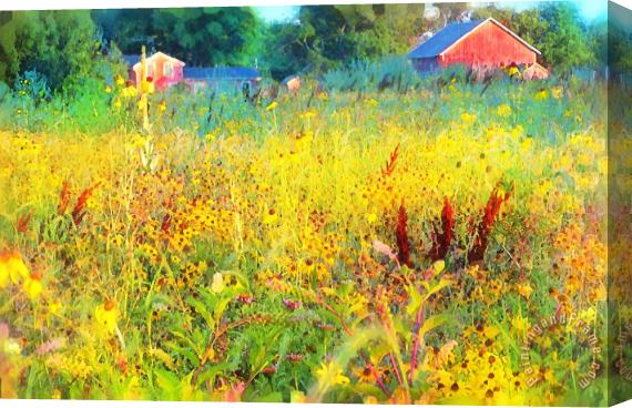 Collection 8 Prairie farm house Stretched Canvas Painting / Canvas Art