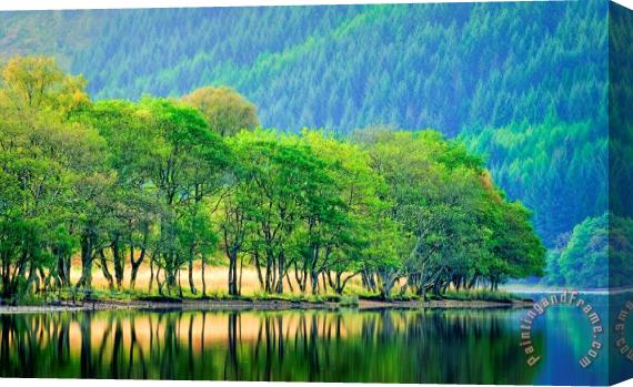 Collection Backlit waters edge on Loch Chon Trossachs Stretched Canvas Print / Canvas Art