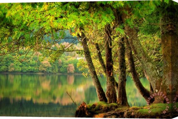 Collection Early Fall on loch Ard Stretched Canvas Print / Canvas Art
