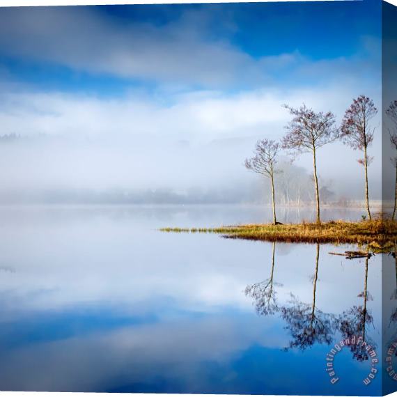 Collection Loch Ard Stretched Canvas Print / Canvas Art