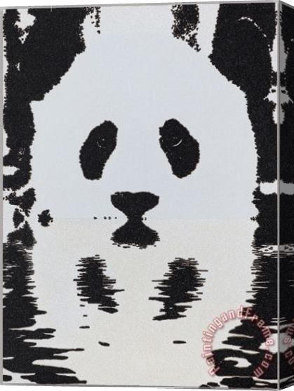 Collection Panda Stretched Canvas Painting / Canvas Art