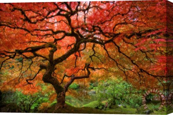Collection Portland Japanese Garden Stretched Canvas Painting / Canvas Art