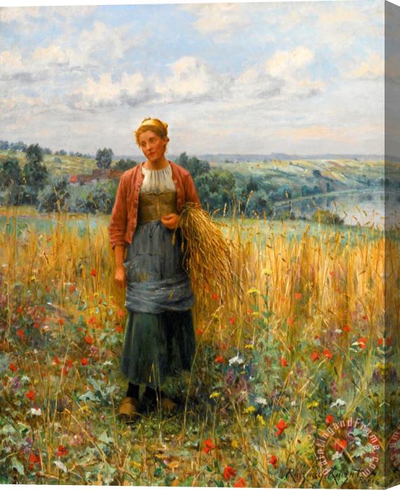 Daniel Ridgway Knight Jeannine Gleaning Stretched Canvas Painting / Canvas Art