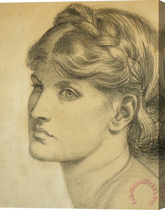 Dante Charles Gabriel Rossetti Study Of A Head For The Bower Meadow Stretched Canvas Print / Canvas Art
