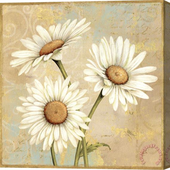 Daphne Brissonnet Beautiful Daisies I Stretched Canvas Painting / Canvas Art