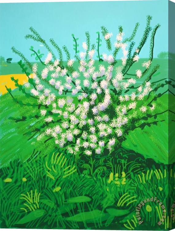David Hockney The Arrival of Spring in Woldgate, East Yorkshire in 2011(twenty Eleven) 30 April, 2011 Stretched Canvas Painting / Canvas Art