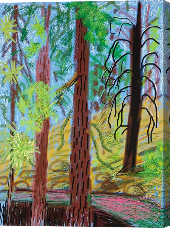David Hockney Untitled No. 6 From The Yosemite Suite, 2010 Stretched Canvas Painting / Canvas Art