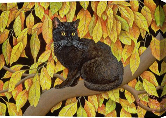 Ditz Autumn Leaves Stretched Canvas Print / Canvas Art
