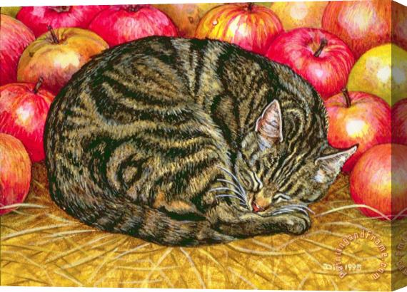 Ditz Left Hand Apple Cat Stretched Canvas Painting / Canvas Art