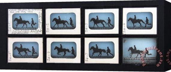 Eadweard J. Muybridge Leland Stanford Jr. on His Pony Gypsy Stretched Canvas Print / Canvas Art