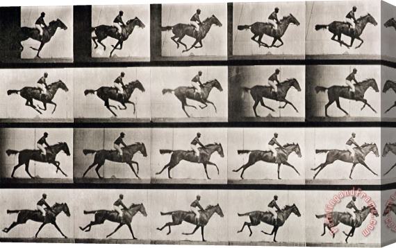 Eadweard Muybridge Jockey On A Galloping Horse Stretched Canvas Print / Canvas Art