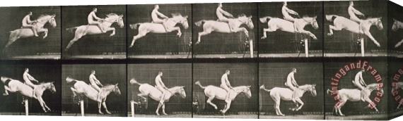 Eadweard Muybridge Man And Horse Jumping A Fence Stretched Canvas Painting / Canvas Art