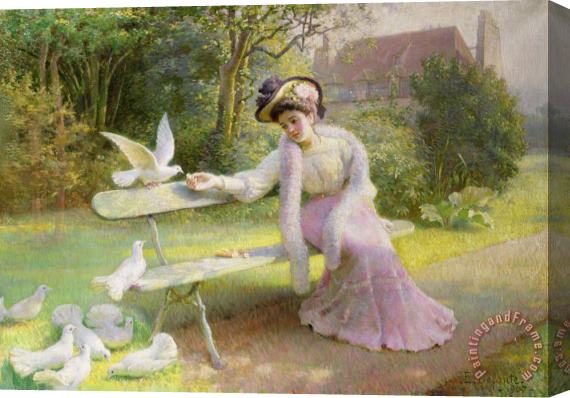 Edmond Alphonse Defonte Feeding the Doves Stretched Canvas Print / Canvas Art