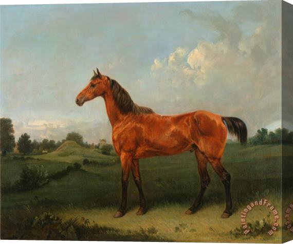 Edmund Bristow A Bay Horse in a Field Stretched Canvas Print / Canvas Art