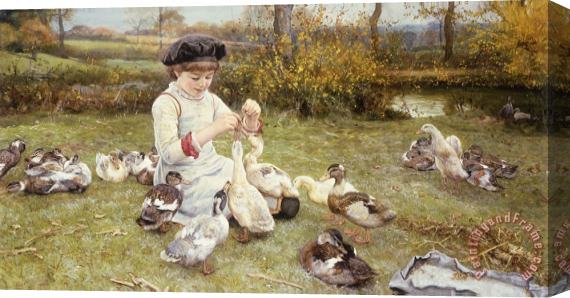 Edward Killingworth Johnson Feeding Ducks Stretched Canvas Print / Canvas Art