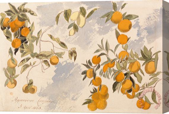Edward Lear Fruit Trees, 3 April 1863 Stretched Canvas Print / Canvas Art